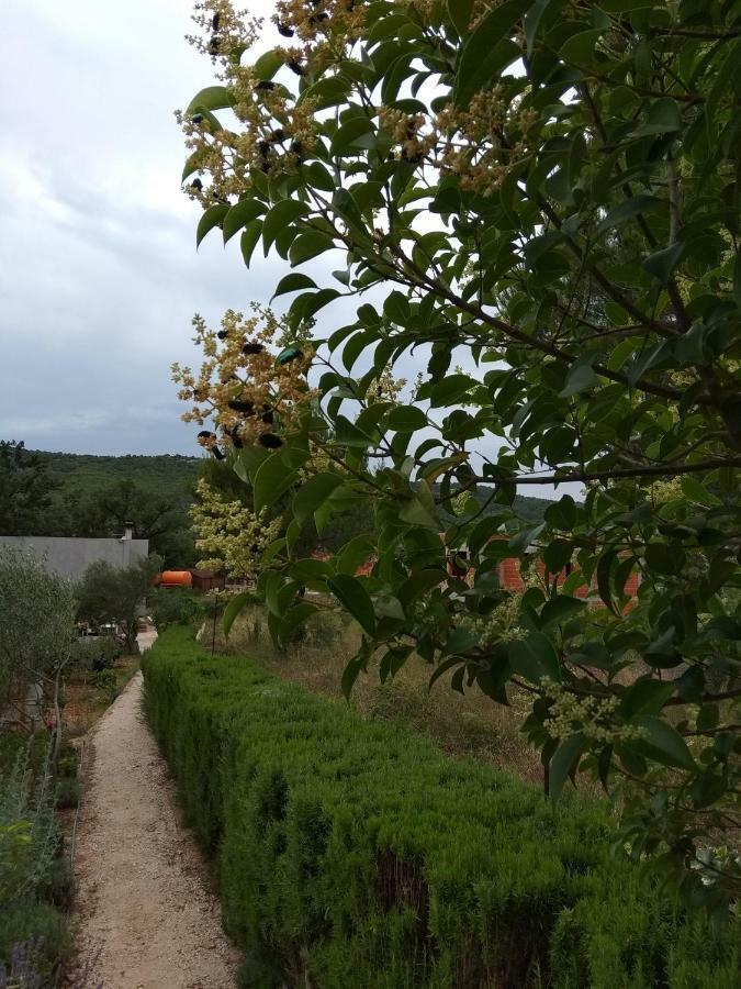 Neva Lejlighed Bilice Eksteriør billede